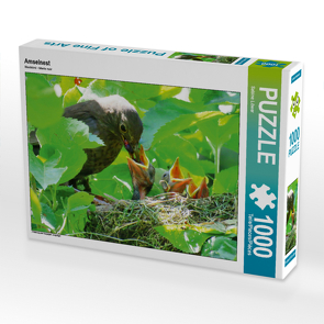 CALVENDO Puzzle Amselnest 1000 Teile Lege-Größe 64 x 48 cm Foto-Puzzle Bild von Sabine Löwer