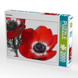 CALVENDO Puzzle Anemonen 2000 Teile Lege-Größe 90 x 67 cm Foto-Puzzle Bild von Stefanie Kools