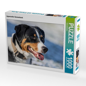 CALVENDO Puzzle Appenzeller Sennenhund 1000 Teile Lege-Größe 64 x 48 cm Foto-Puzzle Bild von SchnelleWelten