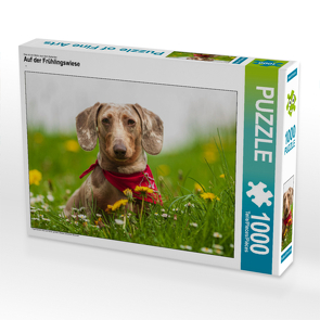 CALVENDO Puzzle Auf der Frühlingswiese 1000 Teile Lege-Größe 640 x 480 cm Foto-Puzzle Bild von Annett Mirsberger tierpfoto
