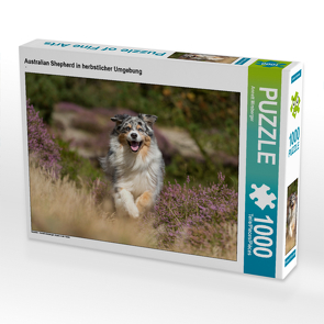 CALVENDO Puzzle Australian Shepherd in herbstlicher Umgebung 1000 Teile Lege-Größe 64 x 48 cm Foto-Puzzle Bild von Annett Mirsberger