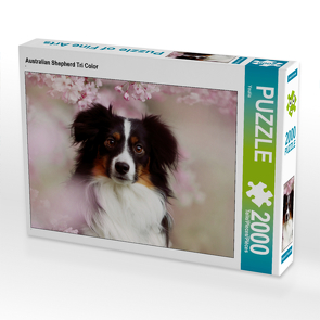 CALVENDO Puzzle Australian Shepherd Tri Color 2000 Teile Lege-Größe 90 x 67 cm Foto-Puzzle Bild von Youlia