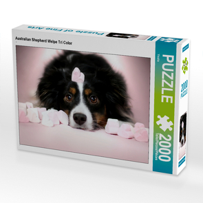 CALVENDO Puzzle Australian Shepherd Welpe Tri Color 2000 Teile Lege-Größe 90 x 67 cm Foto-Puzzle Bild von Youlia