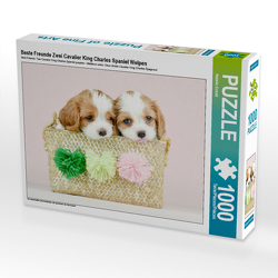 CALVENDO Puzzle Beste Freunde Zwei Cavalier King Charles Spaniel Welpen 1000 Teile Lege-Größe 64 x 48 cm Foto-Puzzle Bild von Natalie Eckelt