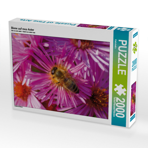 CALVENDO Puzzle Biene auf rosa Aster 2000 Teile Lege-Größe 90 x 67 cm Foto-Puzzle Bild von Kattobello