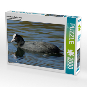 CALVENDO Puzzle Blässhuhn (Fulica atra) 2000 Teile Lege-Größe 90 x 67 cm Foto-Puzzle Bild von kattobello