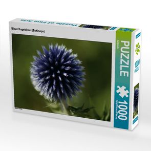 CALVENDO Puzzle Blaue Kugeldistel (Echinops) 1000 Teile Lege-Größe 64 x 48 cm Foto-Puzzle Bild von kattobello