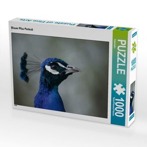 CALVENDO Puzzle Blauer Pfau Portrait 1000 Teile Lege-Größe 64 x 48 cm Foto-Puzzle Bild von Kattobello