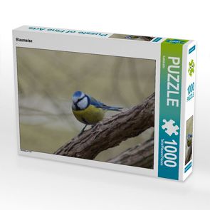 CALVENDO Puzzle Blaumeise 1000 Teile Lege-Größe 64 x 48 cm Foto-Puzzle Bild von kattobello