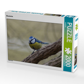 CALVENDO Puzzle Blaumeise 2000 Teile Lege-Größe 90 x 67 cm Foto-Puzzle Bild von kattobello