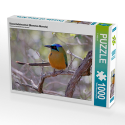 CALVENDO Puzzle Blauscheitelmotmot (Momotus Momota) 1000 Teile Lege-Größe 64 x 48 cm Foto-Puzzle Bild von © viaje.ch