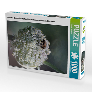CALVENDO Puzzle Blüte des Zwiebellauchs fasziniert durch tausend kleine Sternchen 1000 Teile Lege-Größe 48 x 64 cm Foto-Puzzle Bild von Renate Grobelny