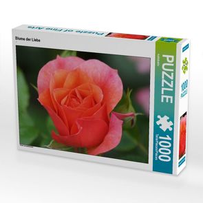 CALVENDO Puzzle Blume der Liebe 1000 Teile Lege-Größe 64 x 48 cm Foto-Puzzle Bild von kattobello