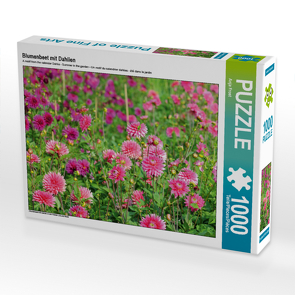 CALVENDO Puzzle Blumenbeet mit Dahlien 1000 Teile Lege-Größe 64 x 48 cm Foto-Puzzle Bild von Anja Frost