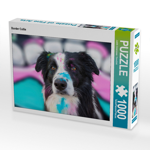 CALVENDO Puzzle Border Collie 1000 Teile Lege-Größe 64 x 48 cm Foto-Puzzle Bild von Judith Dzierzawa / DoraZett