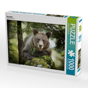 CALVENDO Puzzle Braunbär 1000 Teile Lege-Größe 64 x 48 cm Foto-Puzzle Bild von Johann Schörkhuber