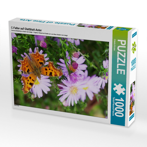 CALVENDO Puzzle C-Falter auf Glattblatt-Aster 1000 Teile Lege-Größe 48 x 64 cm Foto-Puzzle Bild von Gisela Kruse