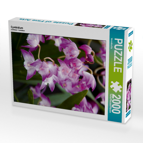 CALVENDO Puzzle Cymbidium 2000 Teile Lege-Größe 67 x 90 cm Foto-Puzzle Bild von Veronika Rix