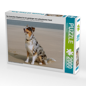 CALVENDO Puzzle Der Australian Shepherd ist ein gelehriger und aufmerksamer Hund 2000 Teile Lege-Größe 90 x 67 cm Foto-Puzzle Bild von Susanne Herppich