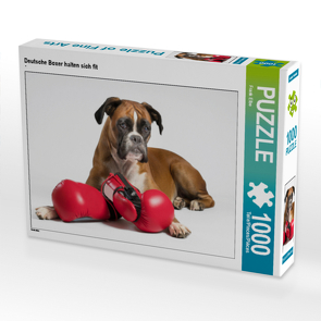 CALVENDO Puzzle Deutsche Boxer halten sich fit 1000 Teile Lege-Größe 64 x 48 cm Foto-Puzzle Bild von Frank Elbe