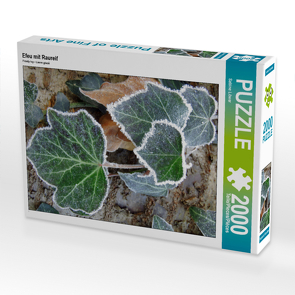 CALVENDO Puzzle Efeu mit Raureif 2000 Teile Lege-Größe 67 x 90 cm Foto-Puzzle Bild von Sabine Löwer