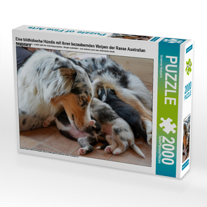 CALVENDO Puzzle Eine bildhübsche Hündin mit ihren bezaubernden Welpen der Rasse Australian Shepherd 2000 Teile Lege-Größe 90 x 67 cm Foto-Puzzle Bild von Susanne Herppich