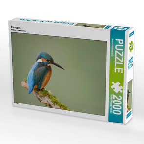 CALVENDO Puzzle Eisvogel 2000 Teile Lege-Größe 90 x 67 cm Foto-Puzzle Bild von Johann Schörkhuber