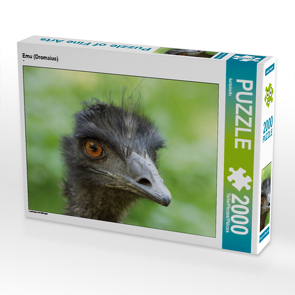 CALVENDO Puzzle Emu (Dromaius) 2000 Teile Lege-Größe 90 x 67 cm Foto-Puzzle Bild von kattobello