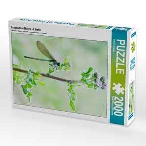 CALVENDO Puzzle Faszination Makro – Libelle 2000 Teile Lege-Größe 67 x 90 cm Foto-Puzzle Bild von Andrea Potratz