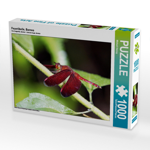 CALVENDO Puzzle Feuerlibelle, Borneo 1000 Teile Lege-Größe 64 x 48 cm Foto-Puzzle Bild von Michael Herzog