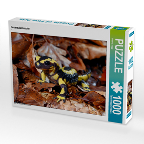 CALVENDO Puzzle Feuersalamander 1000 Teile Lege-Größe 64 x 48 cm Foto-Puzzle Bild von Benny Trapp