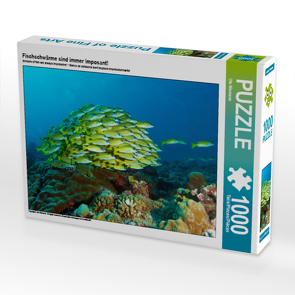 CALVENDO Puzzle Fischschwärme sind immer imposant! 1000 Teile Lege-Größe 64 x 48 cm Foto-Puzzle Bild von Ute Niemann