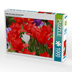 CALVENDO Puzzle Frühe rote Tulpen mit Krokussen 1000 Teile Lege-Größe 64 x 48 cm Foto-Puzzle Bild von Gisela Kruse