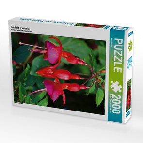 CALVENDO Puzzle Fuchsie (Fuchsia) 2000 Teile Lege-Größe 67 x 90 cm Foto-Puzzle Bild von kattobello