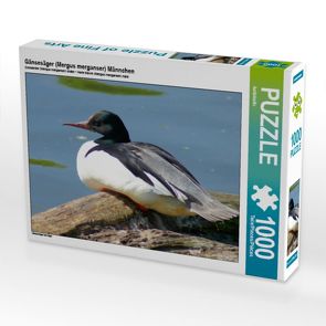 CALVENDO Puzzle Gänsesäger (Mergus merganser) Männchen 1000 Teile Lege-Größe 64 x 48 cm Foto-Puzzle Bild von kattobello