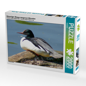 CALVENDO Puzzle Gänsesäger (Mergus merganser) Männchen 2000 Teile Lege-Größe 90 x 67 cm Foto-Puzzle Bild von kattobello