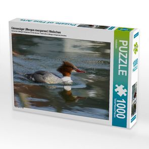 CALVENDO Puzzle Gänsesäger (Mergus merganser) Weibchen 1000 Teile Lege-Größe 64 x 48 cm Foto-Puzzle Bild von kattobello