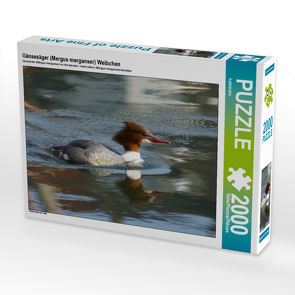 CALVENDO Puzzle Gänsesäger (Mergus merganser) Weibchen 2000 Teile Lege-Größe 90 x 67 cm Foto-Puzzle Bild von kattobello