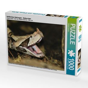 CALVENDO Puzzle Gefährliche Schlangen – Gabunviper 1000 Teile Lege-Größe 64 x 48 cm Foto-Puzzle Bild von Michael Herzog