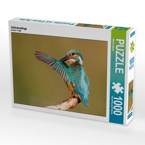 CALVENDO Puzzle Gefiederpflege 1000 Teile Lege-Größe 64 x 48 cm Foto-Puzzle Bild von Wilfried Martin