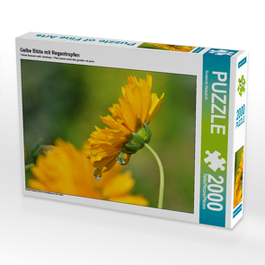 CALVENDO Puzzle Gelbe Blüte mit Regentropfen 2000 Teile Lege-Größe 90 x 67 cm Foto-Puzzle Bild von Susanne Herppich