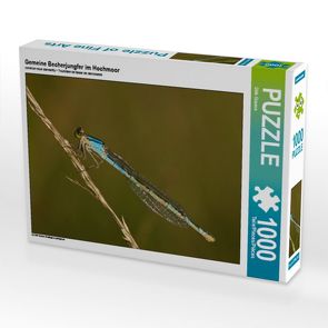 CALVENDO Puzzle Gemeine Becherjungfer im Hochmoor 1000 Teile Lege-Größe 64 x 48 cm Foto-Puzzle Bild von Dirk Grasse