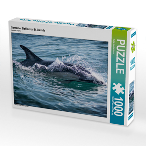 CALVENDO Puzzle Gemeiner Delfin vor St. Davids 1000 Teile Lege-Größe 64 x 48 cm Foto-Puzzle Bild von Katja Jentschura