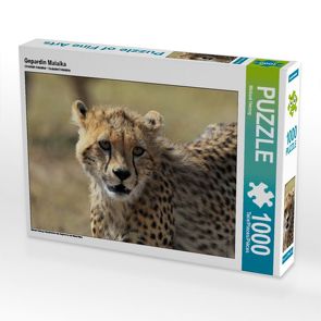 CALVENDO Puzzle Gepardin Malaika 1000 Teile Lege-Größe 64 x 48 cm Foto-Puzzle Bild von Michael Herzog