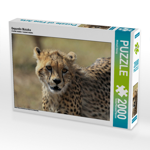 CALVENDO Puzzle Gepardin Malaika 2000 Teile Lege-Größe 90 x 67 cm Foto-Puzzle Bild von Michael Herzog