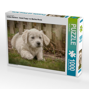 CALVENDO Puzzle Golden Retriever – Sweet Puppy von Martina Wrede 1000 Teile Lege-Größe 64 x 48 cm Foto-Puzzle Bild von Martina Wrede