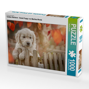 CALVENDO Puzzle Golden Retriever – Sweet Puppy von Martina Wrede 1000 Teile Lege-Größe 64 x 48 cm Foto-Puzzle Bild von Martina Wrede