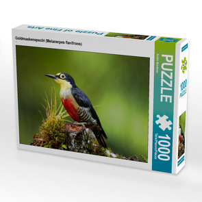 CALVENDO Puzzle Goldmaskenspecht (Melanerpes flavifrons) 1000 Teile Lege-Größe 64 x 48 cm Foto-Puzzle Bild von Armin Brockner