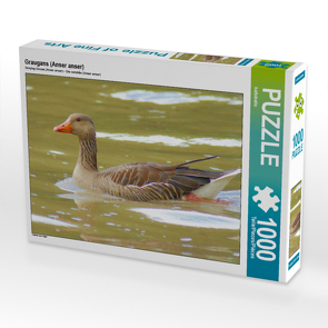 CALVENDO Puzzle Graugans (Anser anser) 1000 Teile Lege-Größe 64 x 48 cm Foto-Puzzle Bild von kattobello