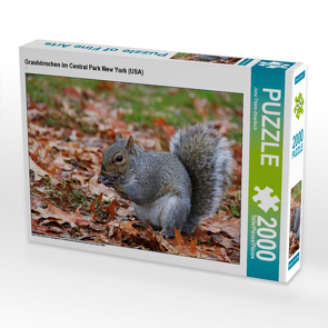 CALVENDO Puzzle Grauhörnchen im Central Park New York (USA) 2000 Teile Lege-Größe 90 x 67 cm Foto-Puzzle Bild von Jana Thiem-Eberitsch